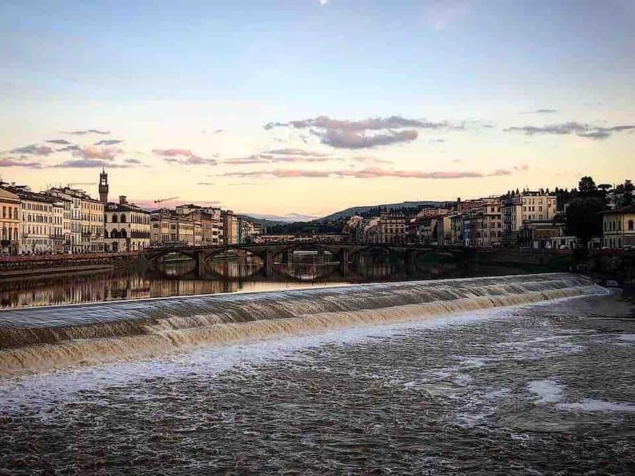 Dandy On The Arno River Firenze